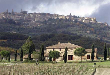 Brunello 2010, vendemmia memorabile