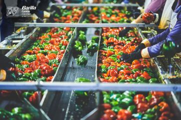 Barilla Center Food Nutrition Fondazione