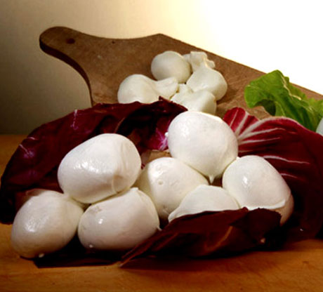 Mozzarella di bufala dop, prezzo finale almeno 9 euro al kg