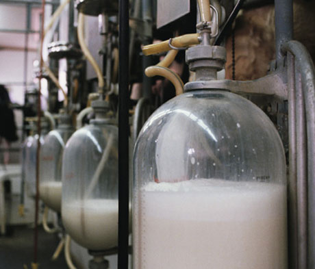 Filiera Aq, 15 milioni di euro per il lattiero-caseario del Sud