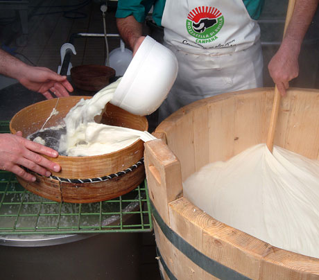 Filiera Bianca, un ‘casaro’ per la mozzarella di bufala Dop