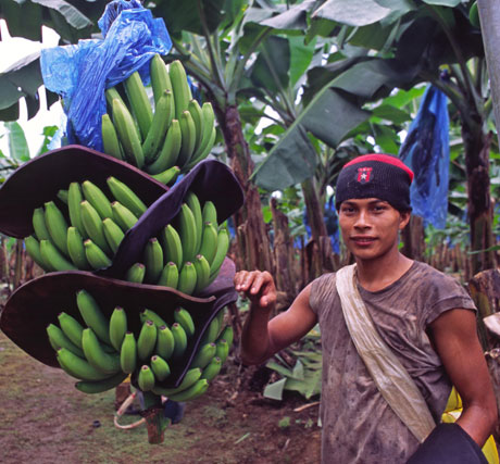 Chiquita, gli obiettivi sostenibili per il 2020