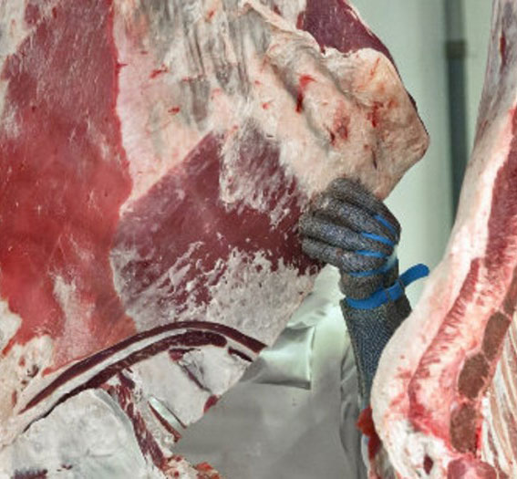 Nas, il piano di controlli sulla carne equina in gdo