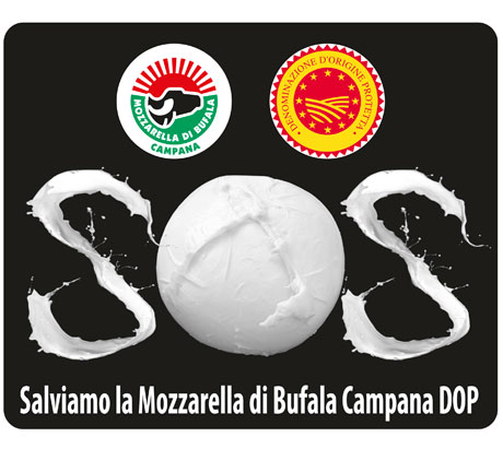 Mozzarella bufala dop, la petizione popolare del Consorzio