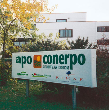 Apo Conerpo, l’export di ortofrutta segna +8%