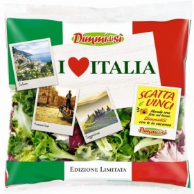 Dimmidisì, un concorso per chi ama l’Italia