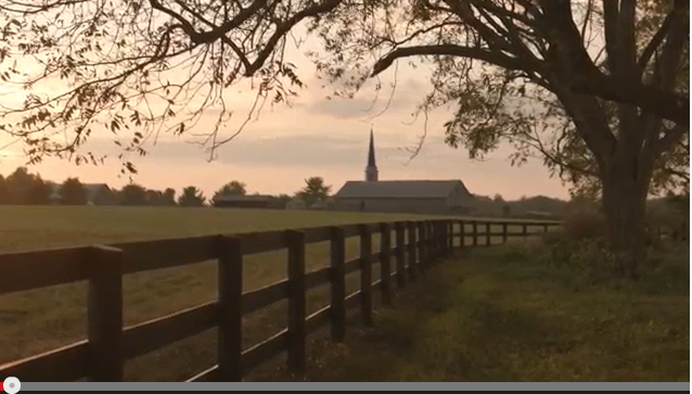 Paesaggio rurale al tramonto. Recinto di legno, albero e chiesa. Alcool e natura.