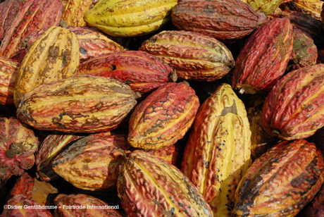 Ferrero acquista il cacao Fairtrade