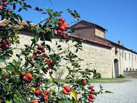 Il Museo della Pasta verrà inaugurato a Collecchio