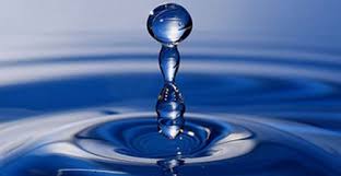 Delverde protagonista della Giornata mondiale dell’acqua