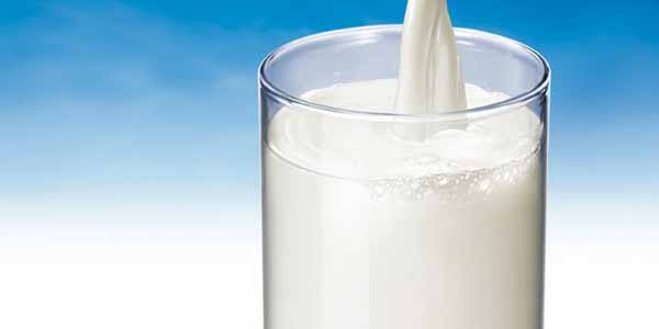 Perché il latte bio piace agli italiani