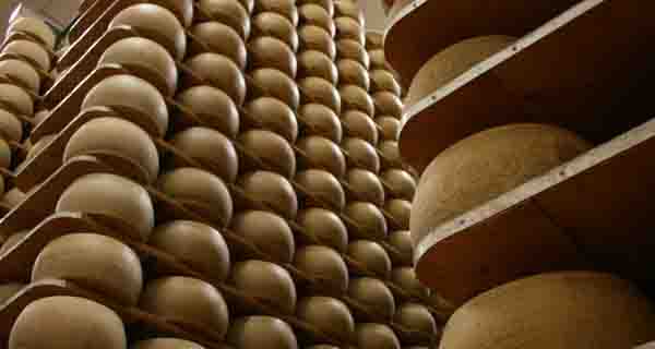 Export, il grana padano resiste alla crisi