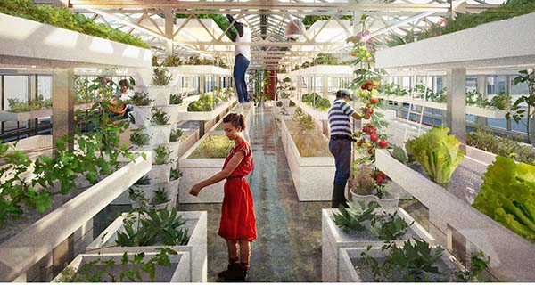 UrbanFarmers, nuove idee per il made on the roof