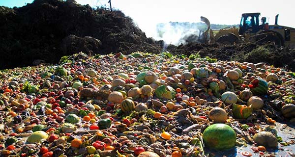 Francia, entra in vigore la legge anti sprechi alimentari