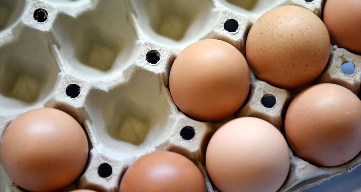 Monoprix, stop alle uova da allevamento in gabbia