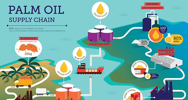 Olio di palma sostenibile, l’obiettivo è il 100% in EU