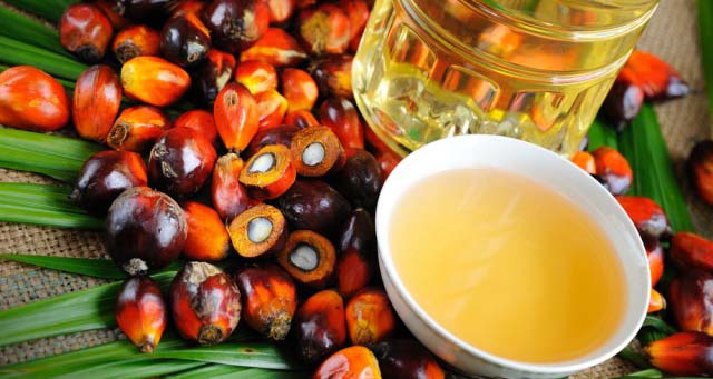 Olio di palma: è tossico e cancerogeno?