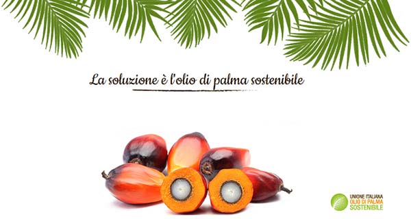 La posizione dell’Unione Italiana per l’Olio di Palma Sostenibile