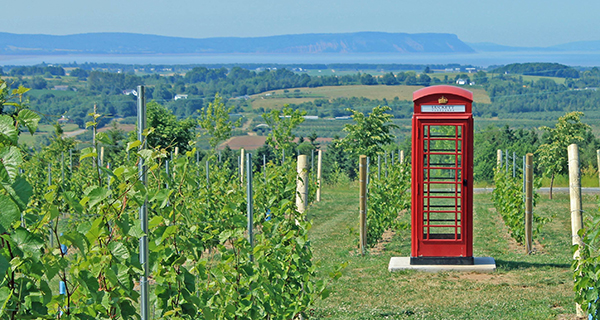 Vino, siamo pronti per la British Invasion?