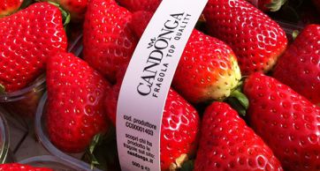 Fragole Candonga Simply: primissimo piano di fragole rosse mature.
