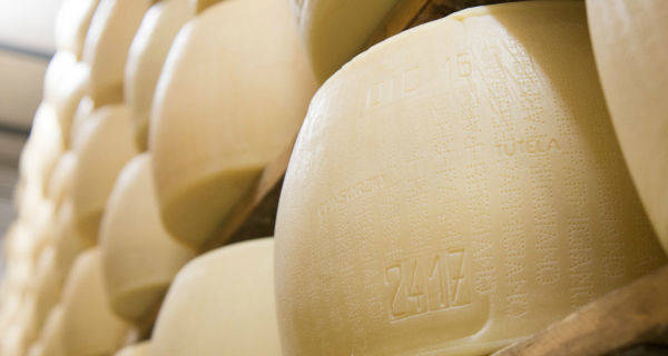 New entry nella filiera del Parmigiano Reggiano di Dalter Alimentari