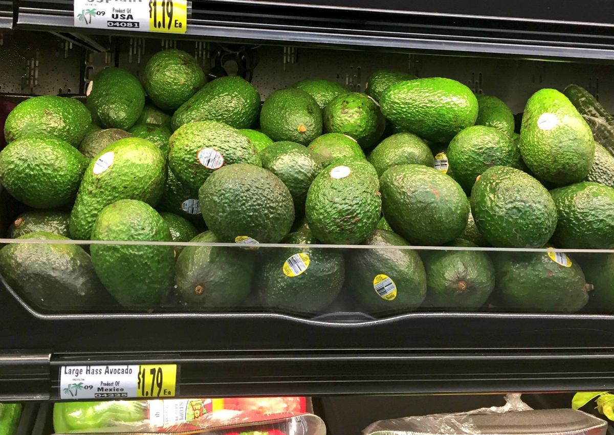 Avocado mania, è boom di vendite