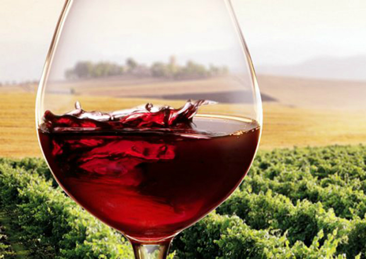 Vino Made in Italy: aumenta l’export