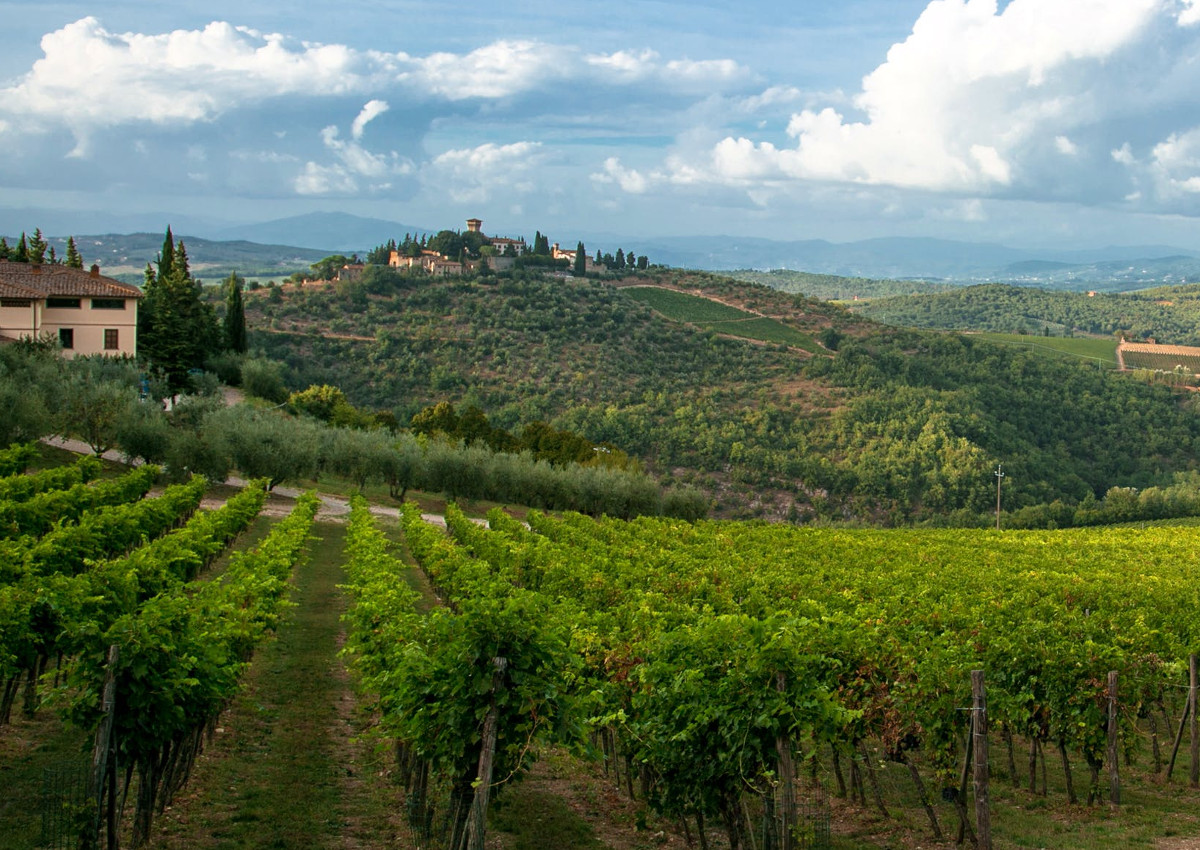 Vendite in aumento per il Chianti