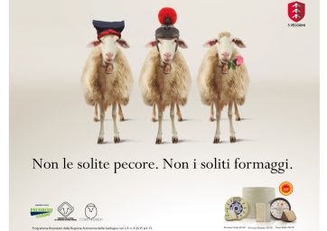 Pecorini-Sardegna-Consorzi