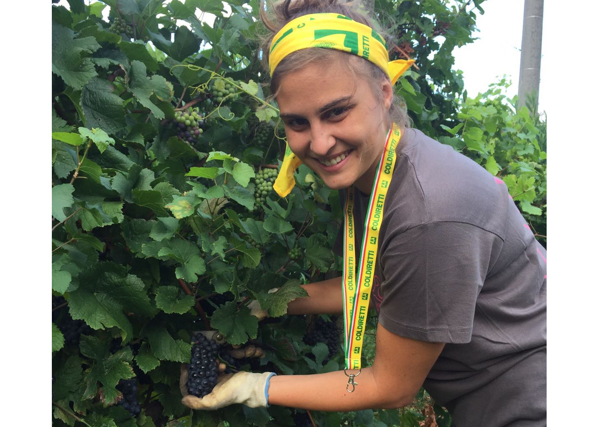 vendemmia-Coldiretti-2018