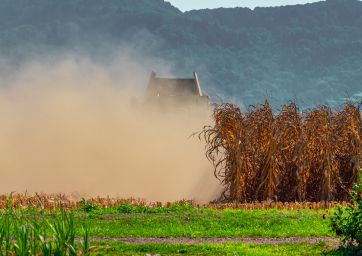 fondi Pac-agricultura-coltivazioni-mais-siccità-campi