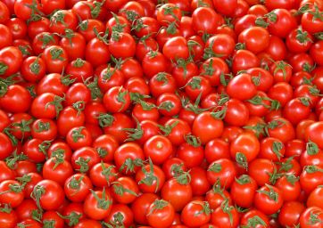 pomodori-Petti-pomodoro