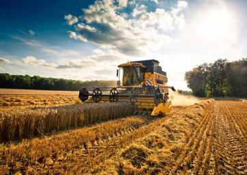 agricoltura-fondi Pac-politica agricola-UE-Agea-Centinaio