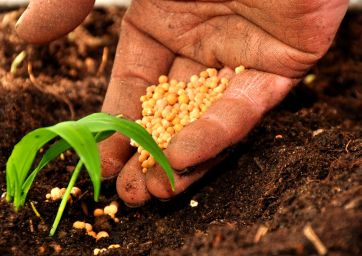 FAO-Coldiretti-bio-agricoltura-organic-piantina-terra-semi-agricoltura biologica