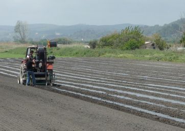 telo-pacciamatura-Mater-Bi-FederBio