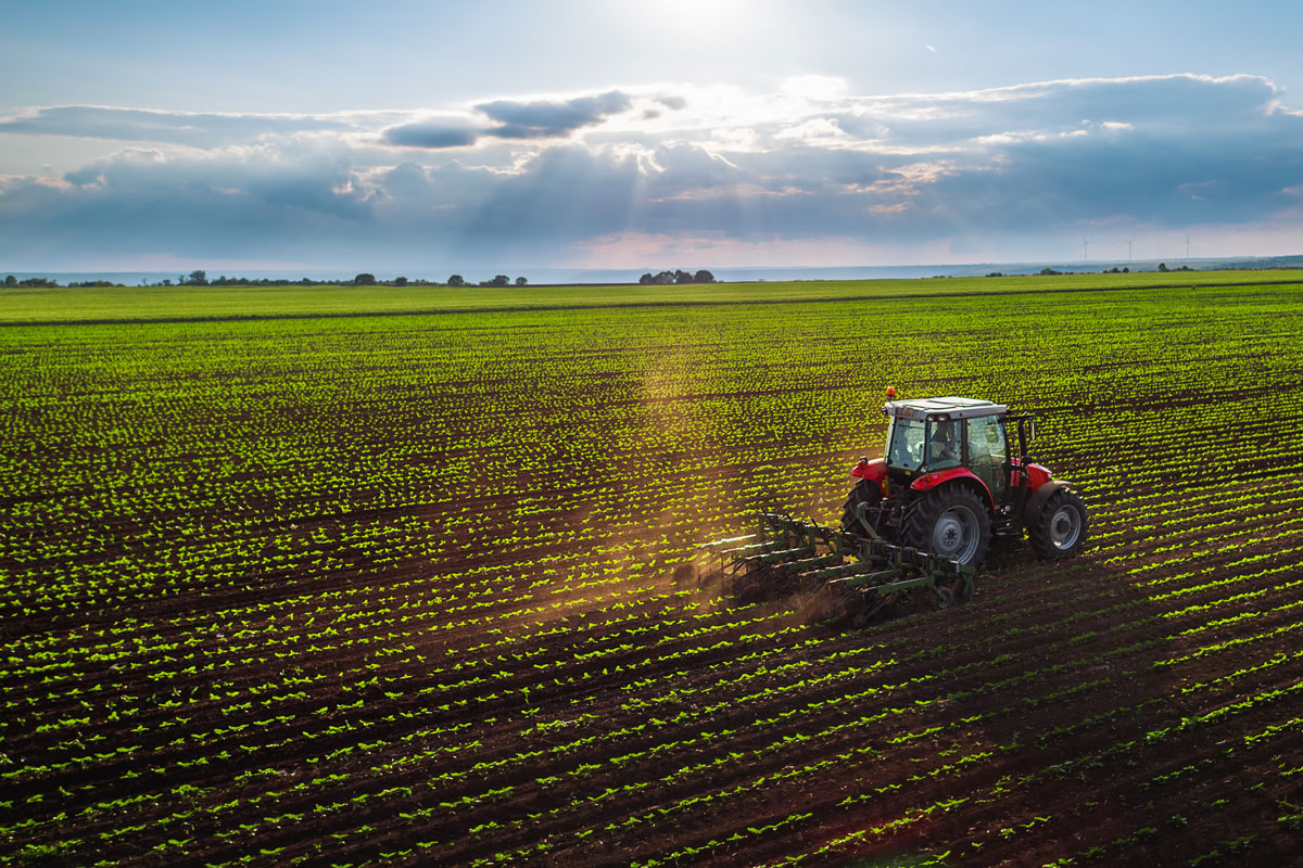 Agroalimentare, protocollo d’intesa tra Banca MPS e Ministero