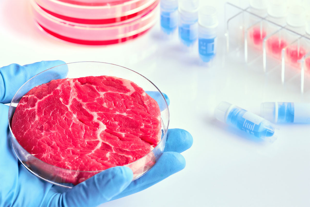 Carne cell-based, le premesse del 2021