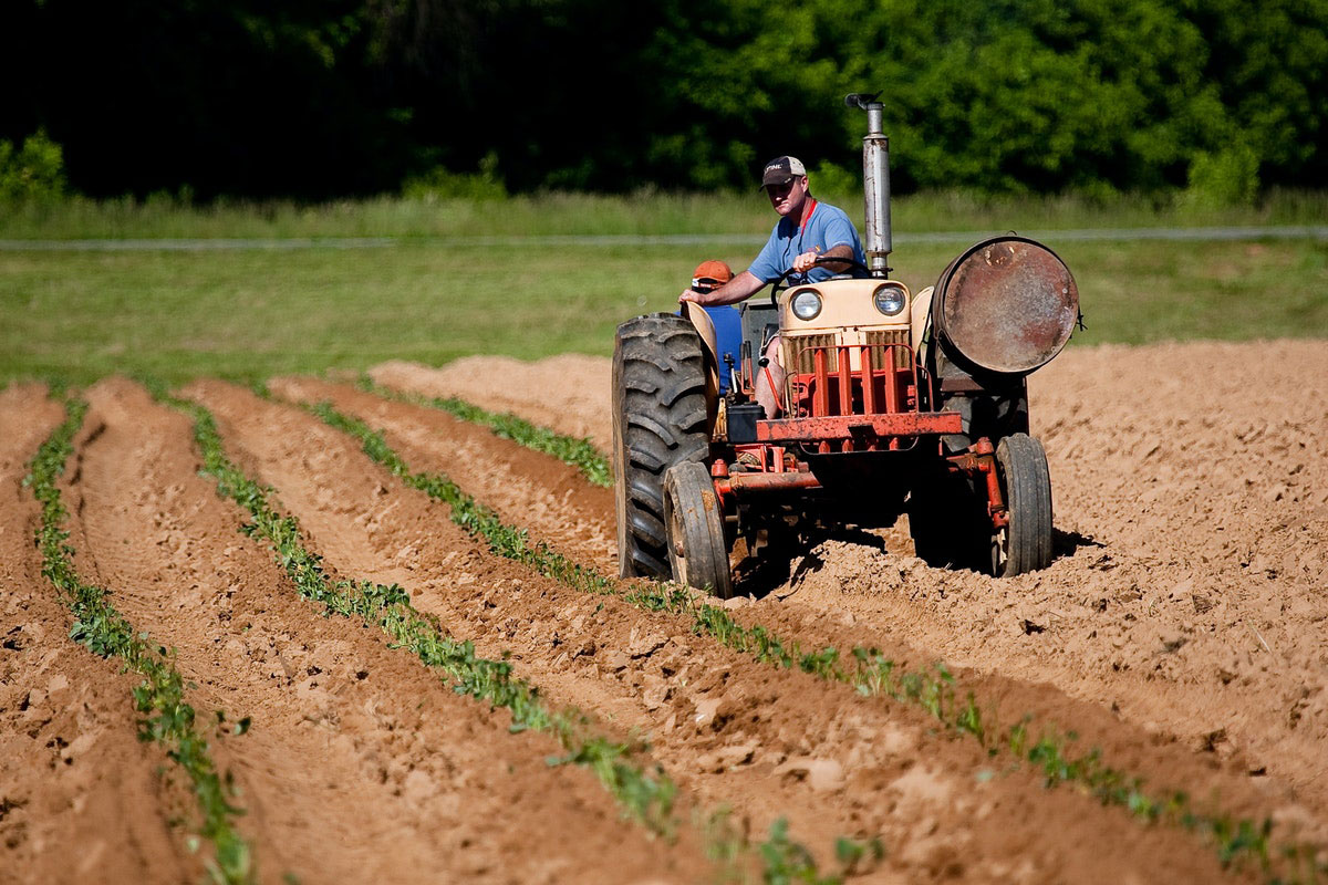 L’agroalimentare italiano vale 621 miliardi di euro