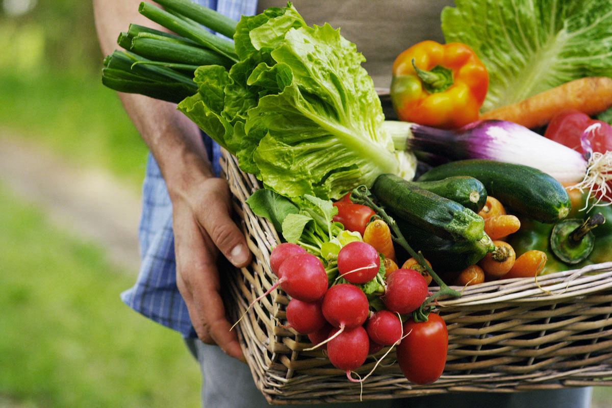 Bio, si impennano i consumi degli italiani