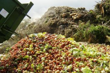 spreco alimentare