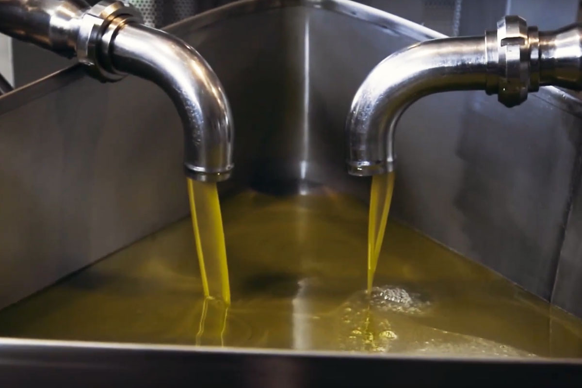 Olive Oil Booster di Alfa Laval ottimizza l’estrazione dell’olio