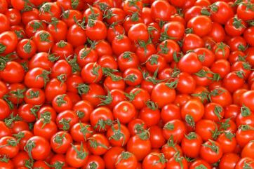 pomodori-Petti-pomodoro