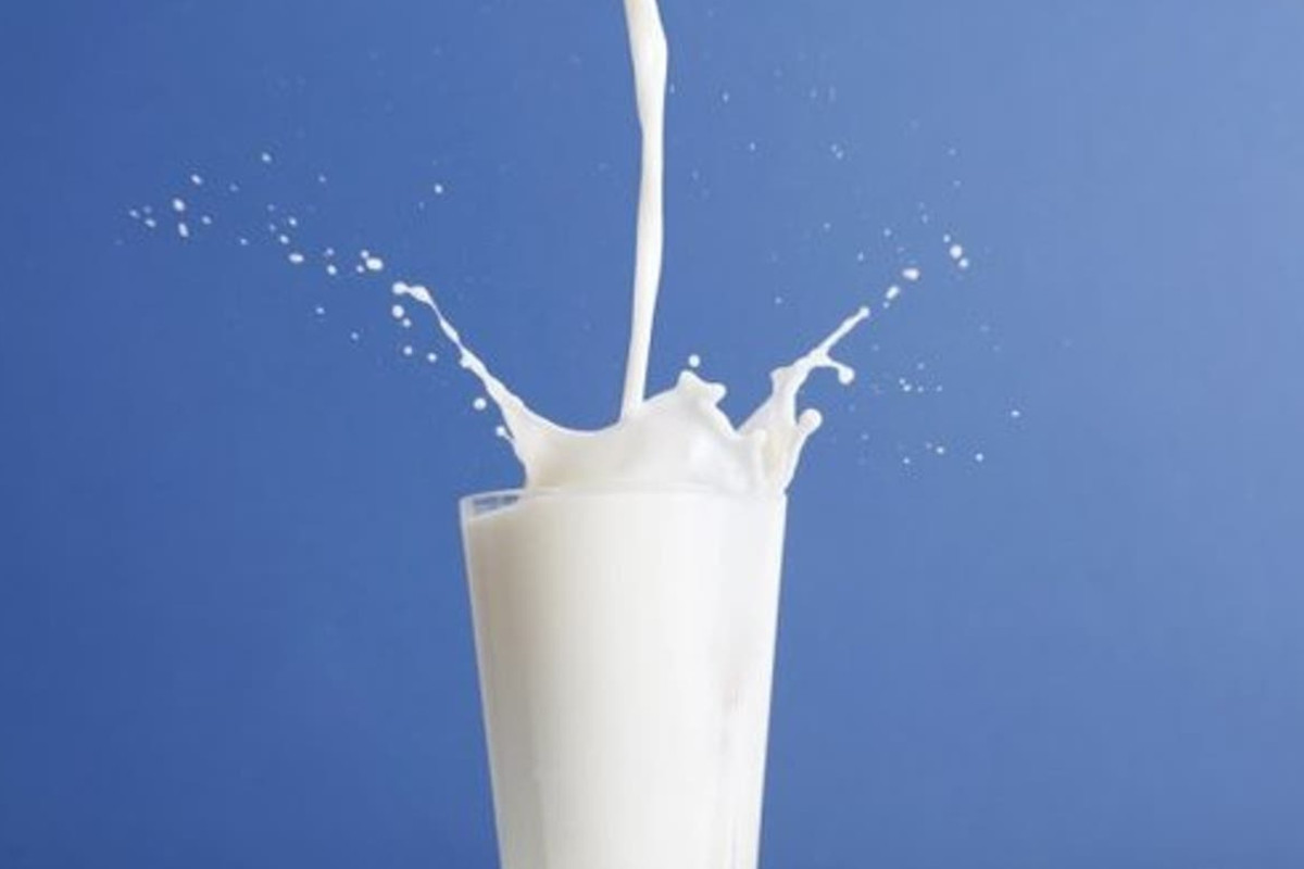 Giornata mondiale del latte, l’Europa è prima per consumi