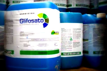 glifosato