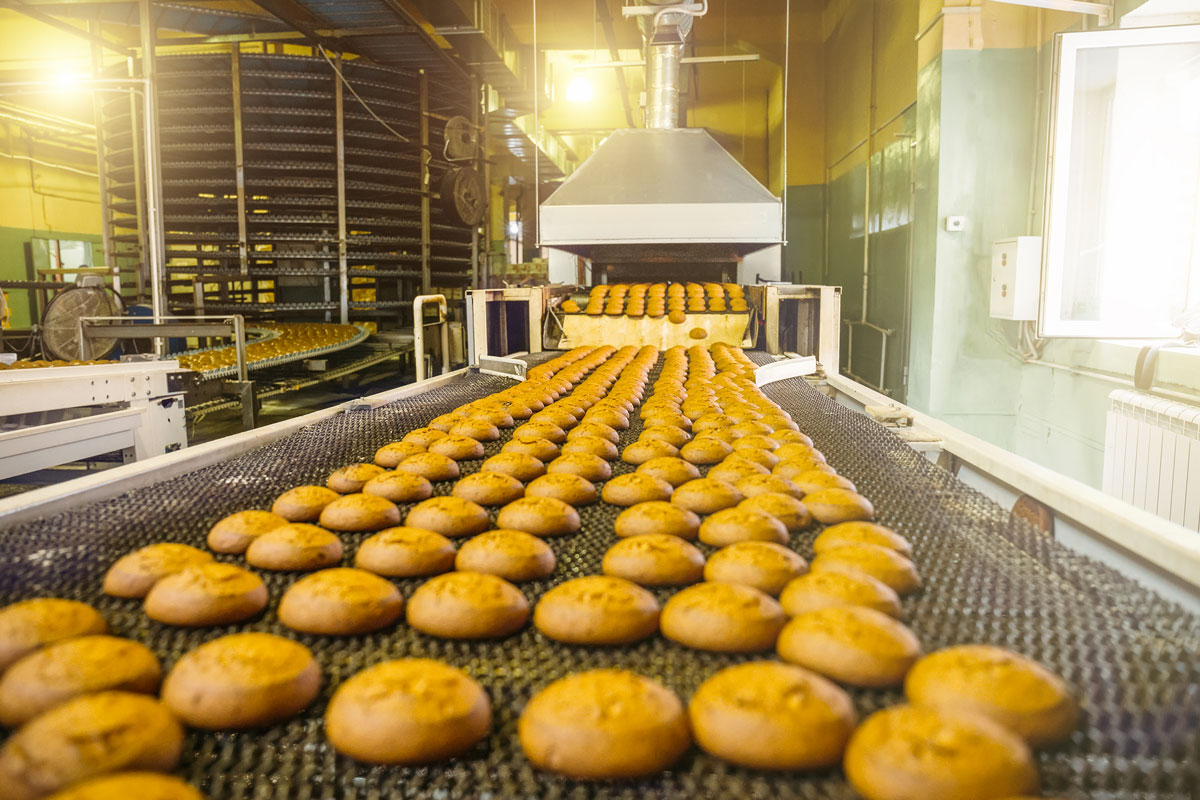 Benessere e sostenibilità trainano l’ascesa del bakery