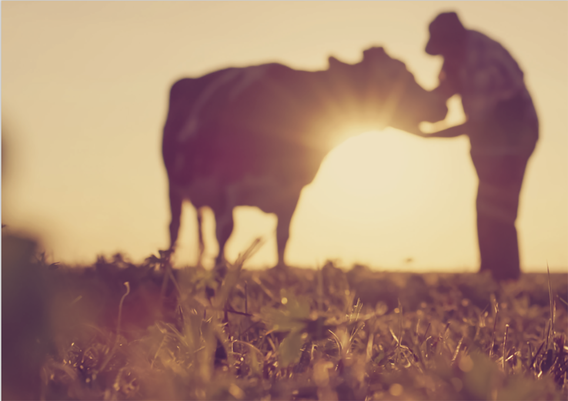 Il contributo di Lactalis allo sviluppo sostenibile italiano