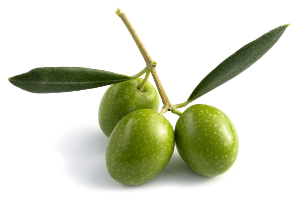 L’olio d’oliva italiano è sempre più richiesto all’estero