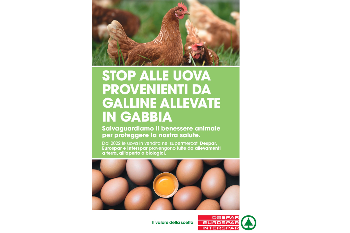 Despar Centro-Sud, solo uova da allevamenti cage free