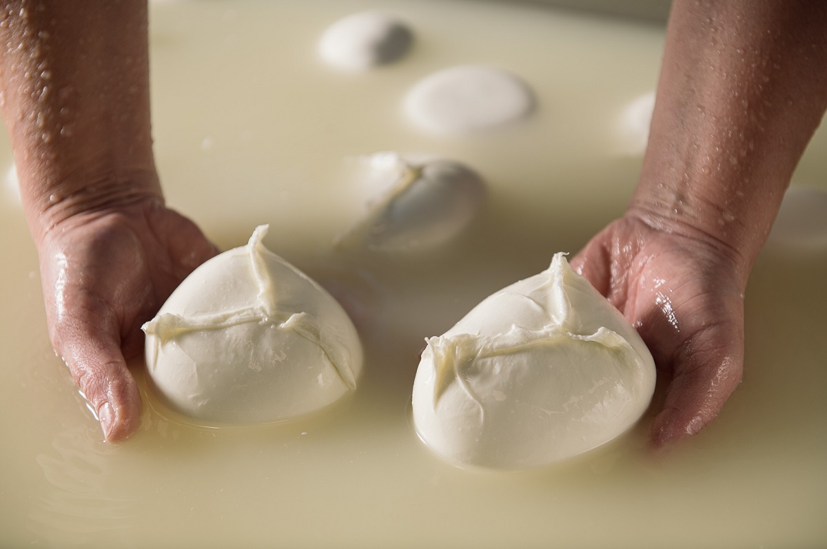 Crescono i consorzi di tutela delle mozzarelle Dop