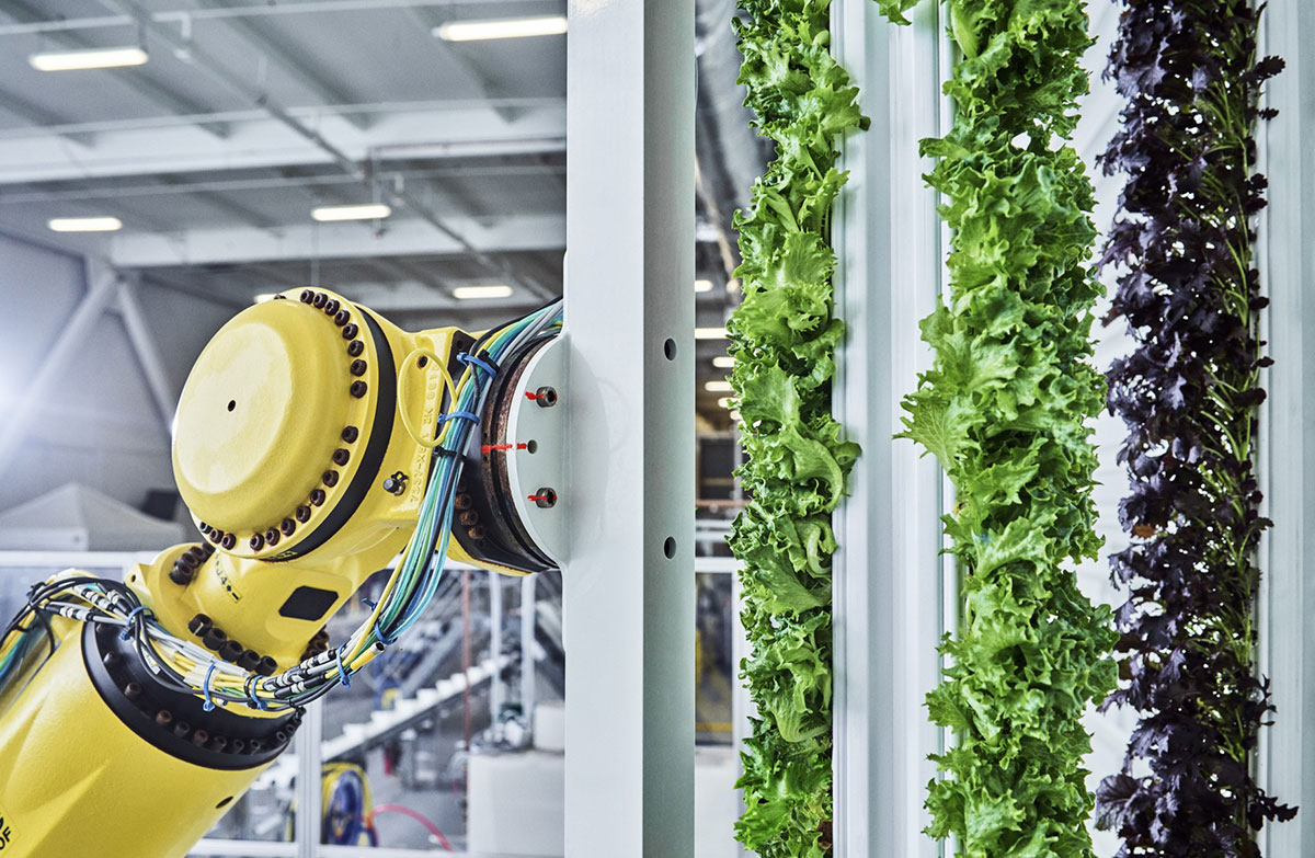 Walmart investe nel vertical farming